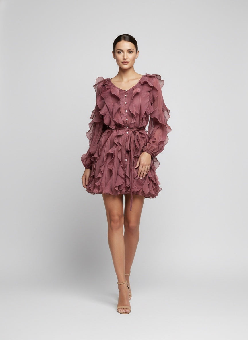 Ruffled Chiffon Mini Dress