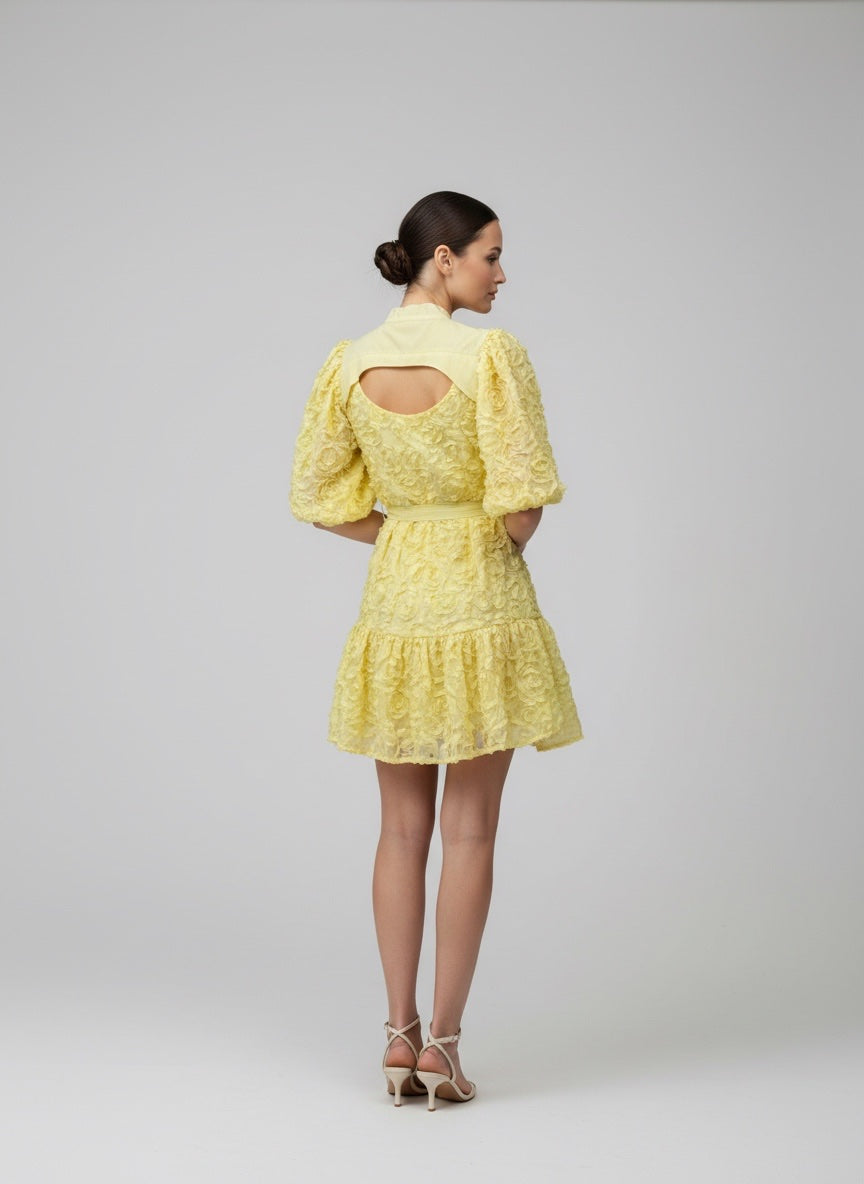 Floral Puff Sleeve Mini Dress